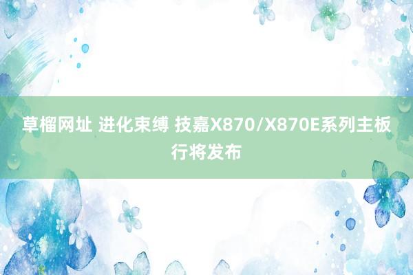 草榴网址 进化束缚 技嘉X870/X870E系列主板行将发布