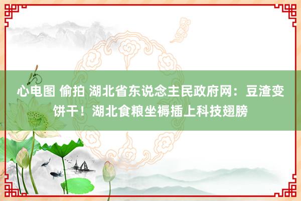 心电图 偷拍 湖北省东说念主民政府网：豆渣变饼干！湖北食粮坐褥插上科技翅膀