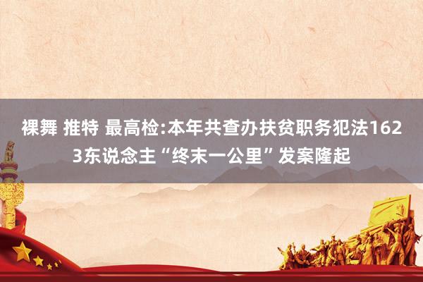 裸舞 推特 最高检:本年共查办扶贫职务犯法1623东说念主“终末一公里”发案隆起