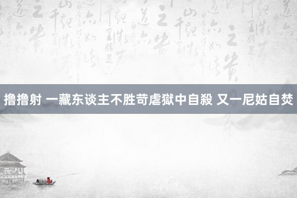 撸撸射 一藏东谈主不胜苛虐獄中自殺 又一尼姑自焚