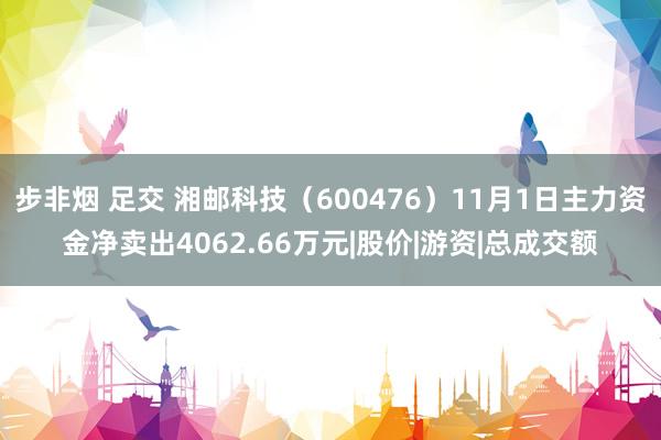 步非烟 足交 湘邮科技（600476）11月1日主力资金净卖出4062.66万元|股价|游资|总成交额