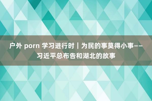 户外 porn 学习进行时｜为民的事莫得小事——习近平总布告和湖北的故事