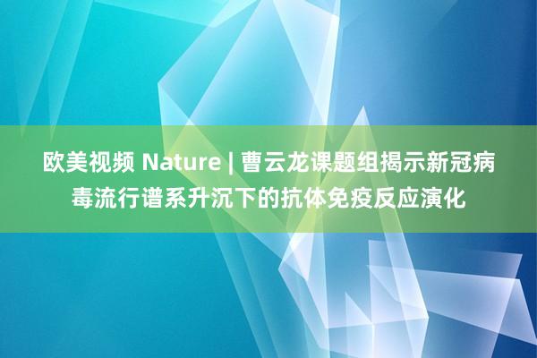 欧美视频 Nature | 曹云龙课题组揭示新冠病毒流行谱系升沉下的抗体免疫反应演化