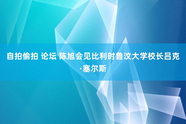 自拍偷拍 论坛 陈旭会见比利时鲁汶大学校长吕克·塞尔斯