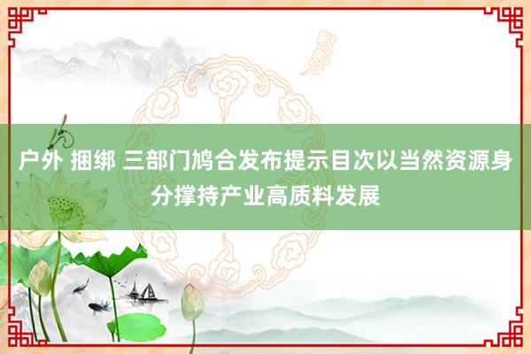 户外 捆绑 三部门鸠合发布提示目次以当然资源身分撑持产业高质料发展